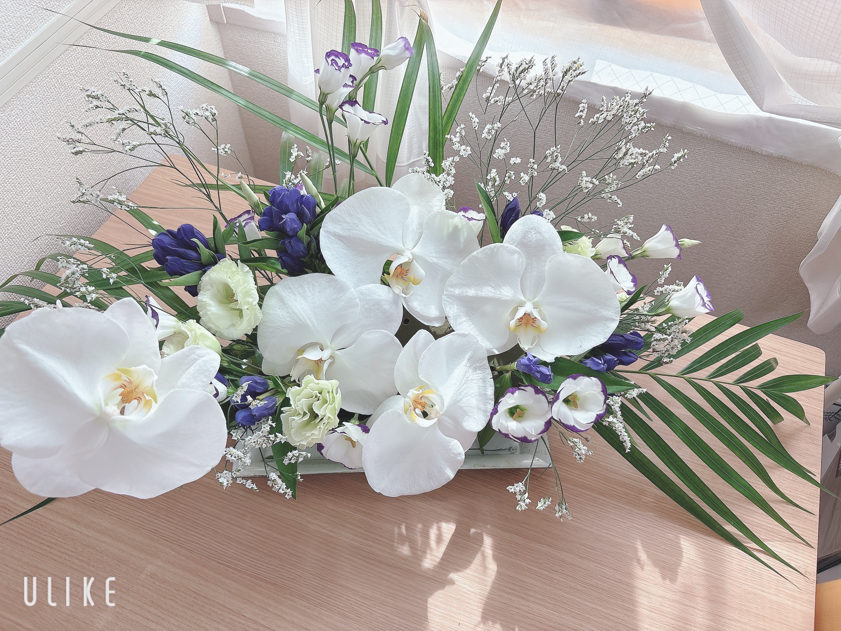 マリンダブーケ　花とテ－ブル茶道　文化コミュニティ-の紹介写真_2枚目